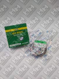 Ремкомплект для колесный экскаватор HYUNDAI R140W-9 (31Y1-31320, S632-100004, 
S632-055004, 
Y171-015004, Y310-105000, Y220-075013, Y180-075020, 
S642-100003, 
S642-055003, Y240-075012, Y110-075011, Y020-070000, Y440-105000, Y420-105000)